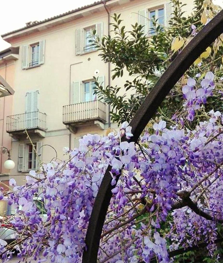 Casa Vacanze Stella Verbania Esterno foto